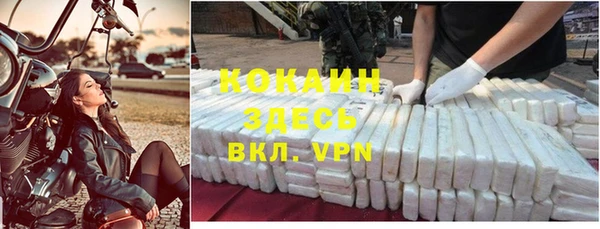молекула духа Бородино